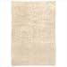 Shadow Ivory Shag Rug Size: Scatter 2' x 3'