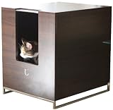 Modern Cat