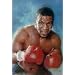 Iron Mike Tyson boxing poster Kid Dynamite punch-out - 11x17
