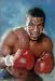 Iron Mike Tyson boxing poster Kid Dynamite punch-out - 13x19