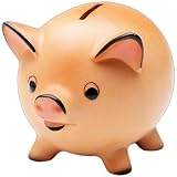 PocketMoney Lite Reviews 41TjssFQe3L. SL160 PocketMoney Lite Reviews