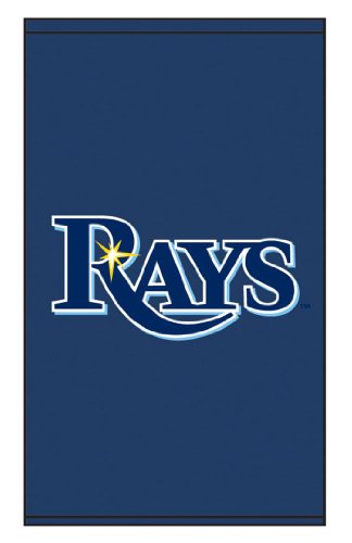 Roller Shades MLB tampa Bay Rays Jersey Logo - Blue Background 0576_0007