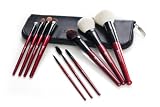 10-teiliges Delux Make-Up Pinselset(Rot)