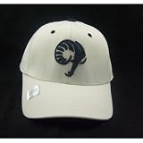 Rhode Island Rams White Fit Stretch Cap from Top of the World