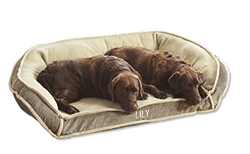 orvis memory foam deep dish dog bed