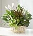 Same Day Flower Delivery Classic Dish Garden