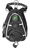 UNC Charlotte 49ers Black Mini Day Pack