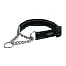 Rogz Reflective 3/4-Inch Fanbelt Dog Choker, Medium to Large, Black