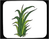 Decorated Mouse Pad with green, plant, leaf, China, Asia, foliage