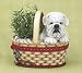 Bulldog In Basket Shape Planter Basket Planter Home Decor