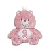 Care Bears Pink Power Bear