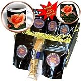 Flowers - Coppery-Peach HT Rose - Coffee Gift Baskets - Coffee Gift Basket