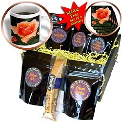 Flowers - Coppery-Peach HT Rose - Coffee Gift Baskets - Coffee Gift Basket