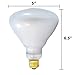 120W 130V BR40 Light Bulb