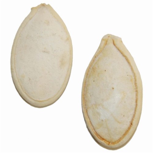 Squash Pumpkin Seeds Roasted Unsalted by Oh! Nuts