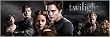Twilight - Mini Door Movie Poster (The Cast) (Size: 36" x 12")