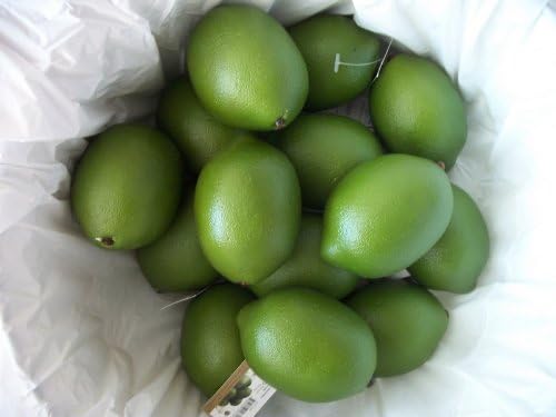 Set of 14 Life-like Artificial Limes