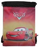 ������������Хå���CARS����å�