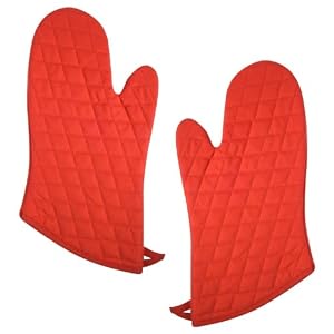 Now Designs Oven Mitt Set of 2