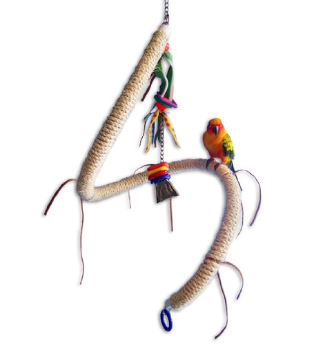 Cavalier Curly Perch Indestructible Parrot Swing 