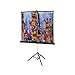 Versatol Silver Matte Manual Projection Screen Viewing Area: 72" diagonal