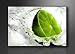 Produkt-Bild: Bild auf Leinwand Lime gr&uuml;n 120 x 80 cm Modell-Nr. XXL 5131 Bilder fertig gerahmt auf echtem Holzrahmen riesig. Ausf&uuml;hrung Kunstdruck als Wandbild auf Rahmen. G&uuml;nstiger als &Ouml;lbild Gem&auml;lde Poster Plakat mit Bilderrahmen