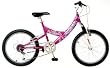 Pacific Evolution Girls' Mountain Bike (20-Inch Wheels)