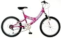 Pacific Evolution Girls' Mountain Bike (20-Inch Wheels)