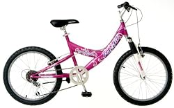 Pacific Evolution Girls' Mountain Bike (20-Inch Wheels)