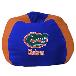 Florida Bean Bag Chair