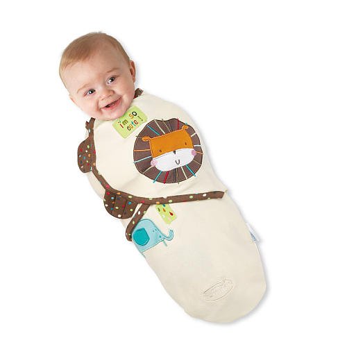 Summer Infant SwaddleMe