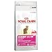 ロイヤルカナン（ROYAL CANIN）　FHN　エクシジェント　1歳から10歳までの　食事にこだわりがある猫用　10kg