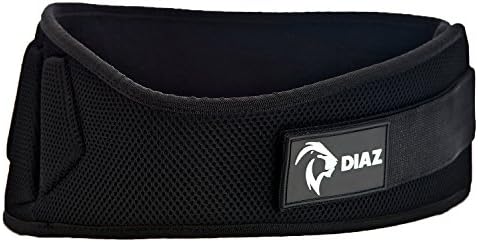 6-Inch Weight Lifting Belt Back Support - For Men, Women, Weightlifting, Crossfit, Powerlifting, Gym, Training ...