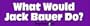 What Would Jack Bauer Do - Refrigerator Magnets 7x2 in