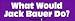 What Would Jack Bauer Do - Funny Bumper Stickers (Medium)