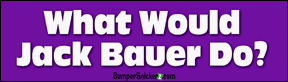 What Would Jack Bauer Do - Funny Bumper Stickers (Large)