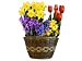 Flower Bulb Deluxe Gift Basket