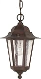 Nuvo 60/992 Old Hanging Lantern with Clear Seeded Glass, Old Bronze