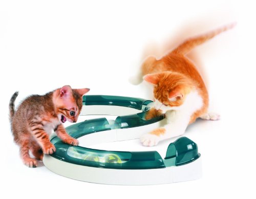 Catit Design Senses Play Circuit