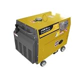 4000 Watt Portable Diesel Generator with Electric Start