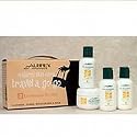 Sea Buckthorn Travel Kit - 4 parts