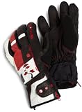 Dakine Men's Team Sabre Glove (Eric Pollard, Small)