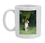 Photo Mug of Domestic Cat - with flea collar, name tag and bell from Ardea