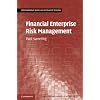 Financial Enterprise Risk Management (International Series on Actuarial Science)