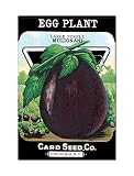 Eggplant Seed Packet Artwork Fridge Magnet