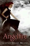 (ANGELFIRE ) By Moulton, Courtney Allison (Author) Hardcover Published on (02, 2011)