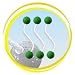 Ladder Golf Brand - Green Bolas - Set of 3