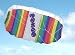Bongo 1.2 Meter Two Line Power Kite