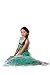 HBB Girl Snow Princess Dress Costume with Glittering Flower Cape SZ 3-10