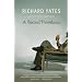 A Special Providence (Vintage Contemporaries)